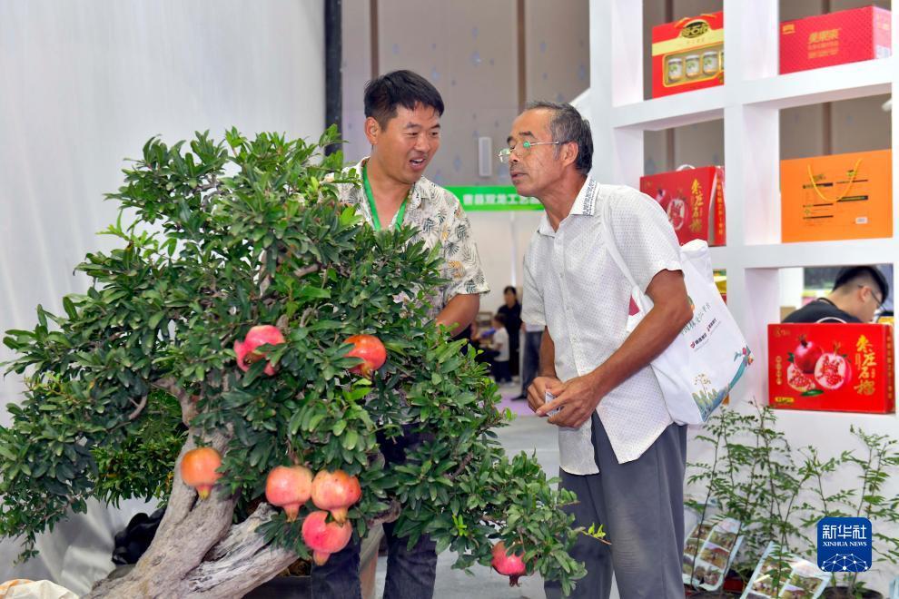 欢迎玛莎棋牌